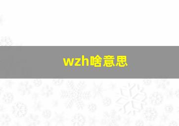 wzh啥意思