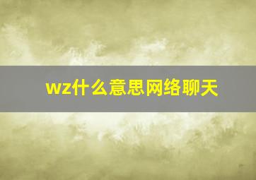 wz什么意思网络聊天