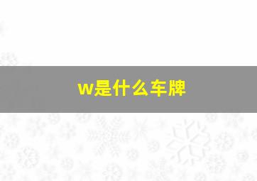 w是什么车牌