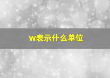 w表示什么单位