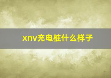 xnv充电桩什么样子