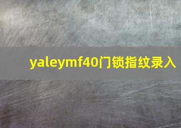 yaleymf40门锁指纹录入