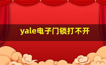 yale电子门锁打不开