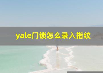 yale门锁怎么录入指纹