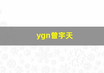 ygn曾宇天