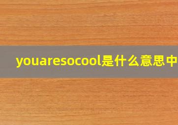 youaresocool是什么意思中文