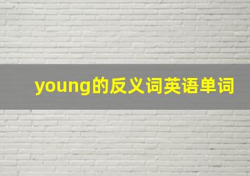 young的反义词英语单词