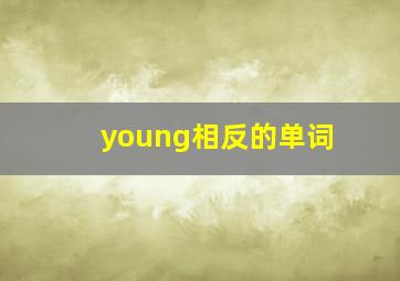 young相反的单词