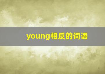 young相反的词语