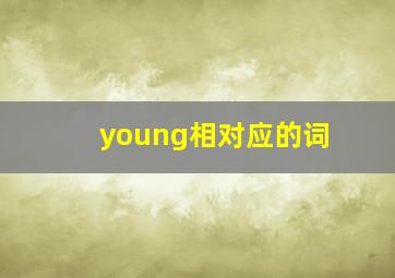 young相对应的词