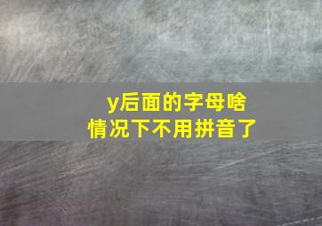 y后面的字母啥情况下不用拼音了