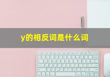 y的相反词是什么词