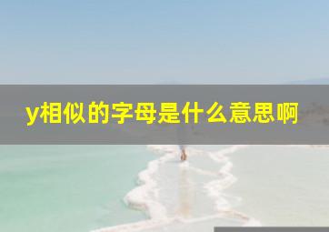 y相似的字母是什么意思啊