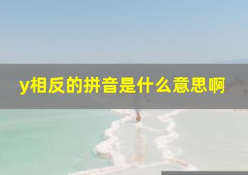 y相反的拼音是什么意思啊