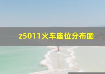 z5011火车座位分布图