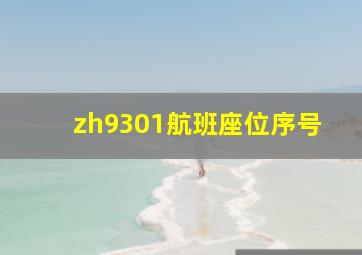 zh9301航班座位序号