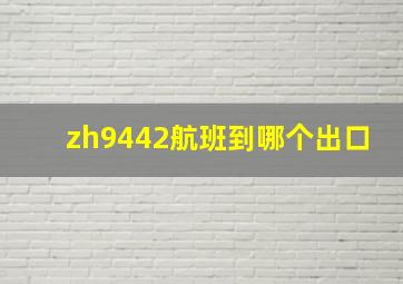 zh9442航班到哪个出口