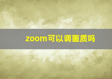 zoom可以调画质吗