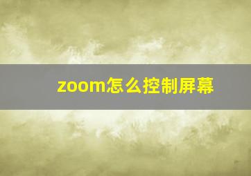 zoom怎么控制屏幕