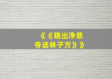 《《晓出净慈寺送林子方》》