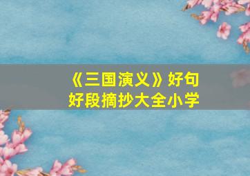 《三国演义》好句好段摘抄大全小学