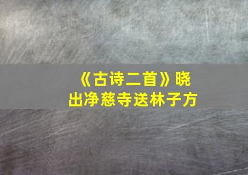 《古诗二首》晓出净慈寺送林子方