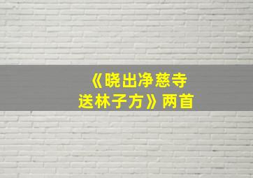 《晓出净慈寺送林子方》两首