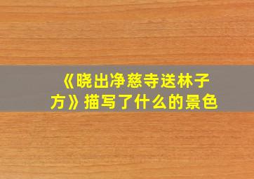 《晓出净慈寺送林子方》描写了什么的景色