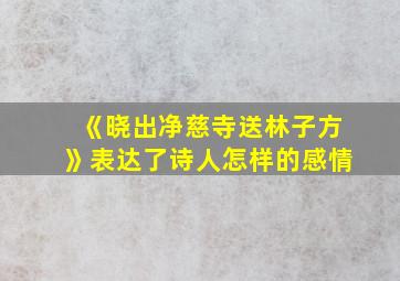 《晓出净慈寺送林子方》表达了诗人怎样的感情