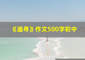 《追寻》作文500字初中