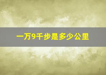 一万9千步是多少公里