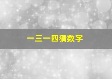 一三一四猜数字