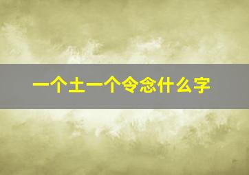 一个土一个令念什么字