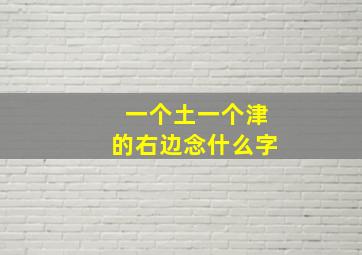 一个土一个津的右边念什么字