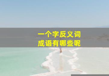 一个字反义词成语有哪些呢