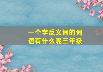 一个字反义词的词语有什么呢三年级