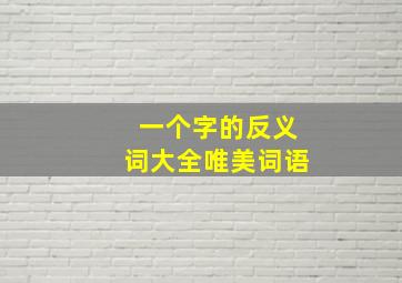 一个字的反义词大全唯美词语