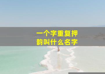 一个字重复押韵叫什么名字