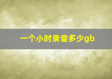 一个小时录音多少gb