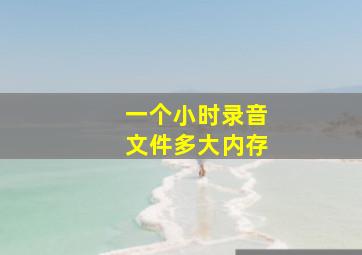 一个小时录音文件多大内存