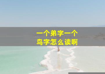 一个弟字一个鸟字怎么读啊