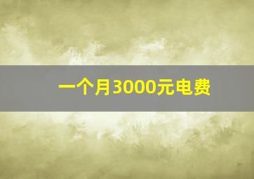 一个月3000元电费