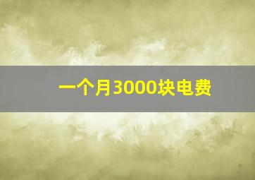 一个月3000块电费