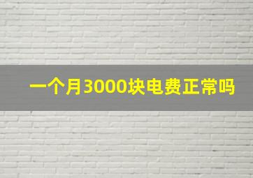 一个月3000块电费正常吗