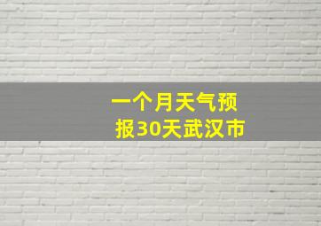 一个月天气预报30天武汉市