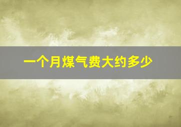 一个月煤气费大约多少