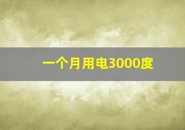 一个月用电3000度