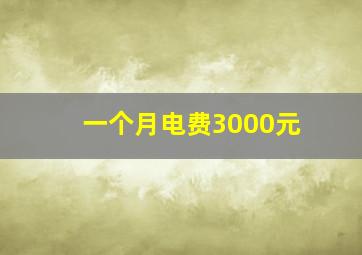 一个月电费3000元