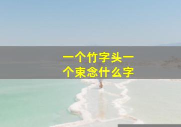 一个竹字头一个束念什么字