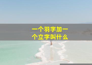 一个羽字加一个立字叫什么